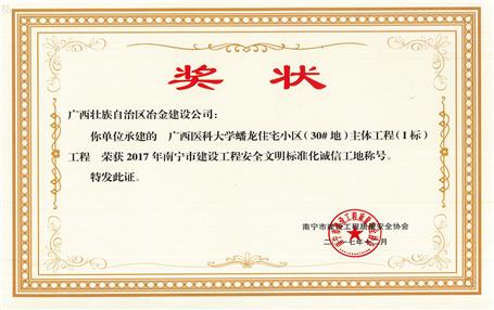 南寧分公司四個(gè)項(xiàng)目獲表彰！