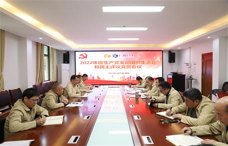 廖立波、唐峰、何勇以普通黨員身份參加所在黨支部2022年度組織生活會(huì)