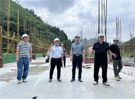 韋克雪到多個項目開展2025年二季度安全生產質量綜合大檢查